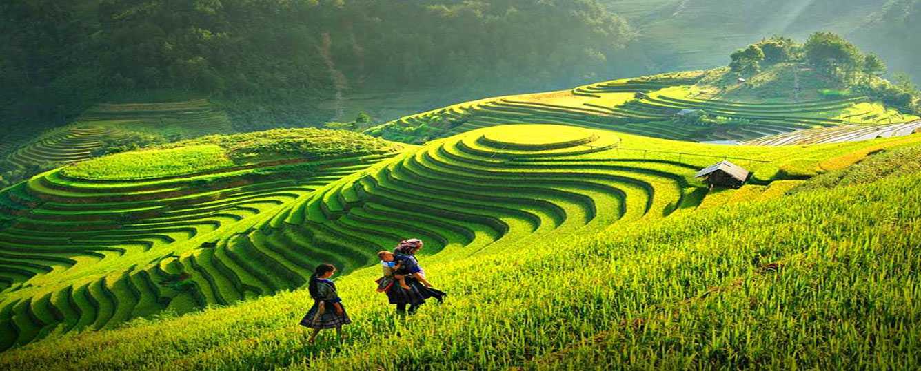 Sapa tours by bus and by train from hanoi