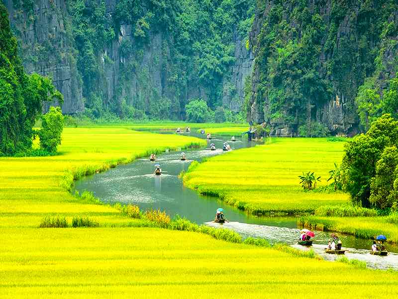 Hanoi - Ninh Binh Tour: Hoa Lu - Tam Coc - Mua Cave - 1 Day