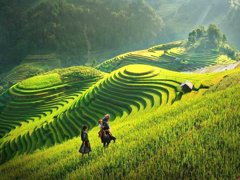 Hanoi Sapa Tours 3 Days 2 Nights By Bus